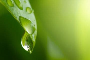 Naturopathie ambiance